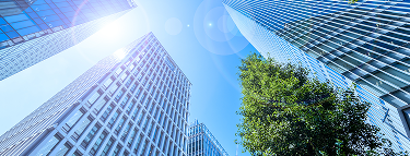 コンテンツ画像